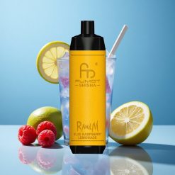 RandM Fumot Shisha 10000 Züge Einweg-Vape Blaue Himbeere Limonade