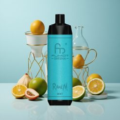 RandM Fumot Shisha 10000 Züge Einweg-Vape Minze