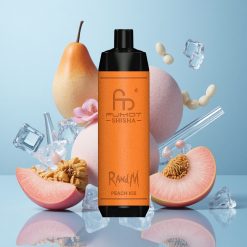 RandM Fumot Shisha 10000 Züge Einweg-Vape Pfirsich Eis