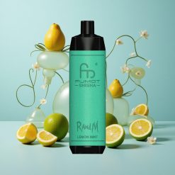 RandM Fumot Shisha 10000 Züge Einweg-Vape Zitrone Minze