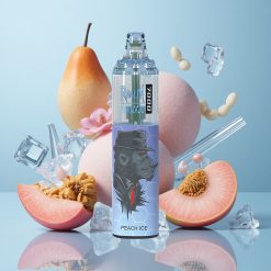 RandM Fumot Tornado 7000 Wegwerf-Vape Pfirsich-Eis mit 14 ML E-Liquid und 850 MAH Akku